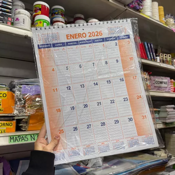 Organizador Mensual 2026 31 X 40 CM (AG 42)