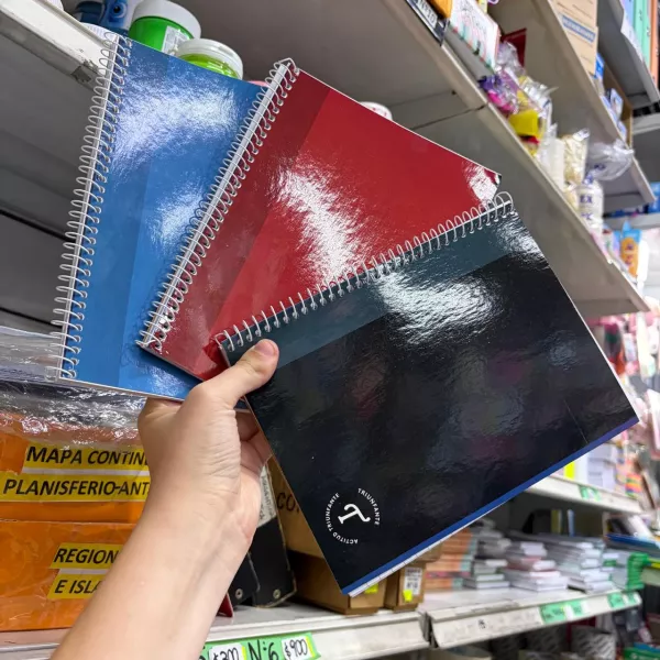 Cuaderno A5 Triunfante x42 hojas