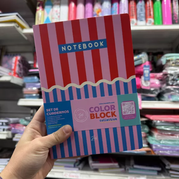 Set De cuadernos A5 FW - COLORBLOCK x4