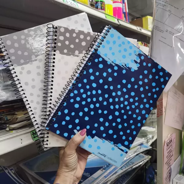 Cuaderno 21 x 27 Ledesma