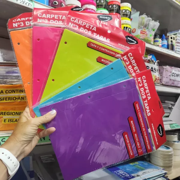 Carpeta Nro 3 RIDEO/AVIOS NEON