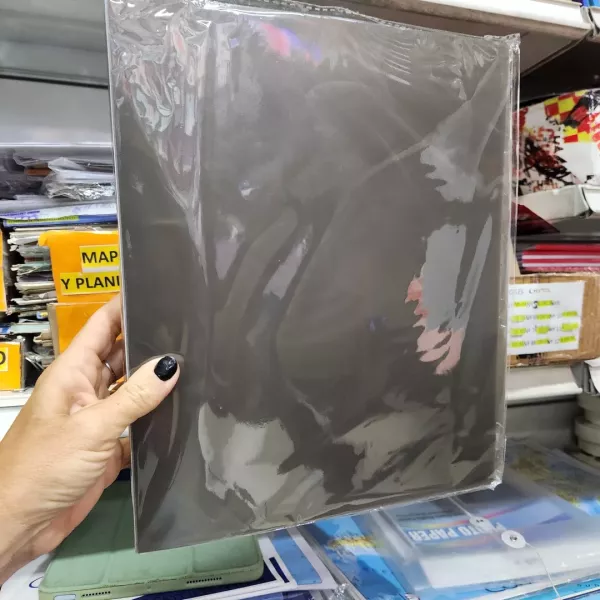 CARPETA TRAMA A4 2 X 40 MM. PLASTICA 