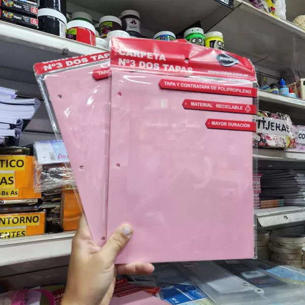 Carpeta Nro 3 RIDEO/AVIOS PASTEL