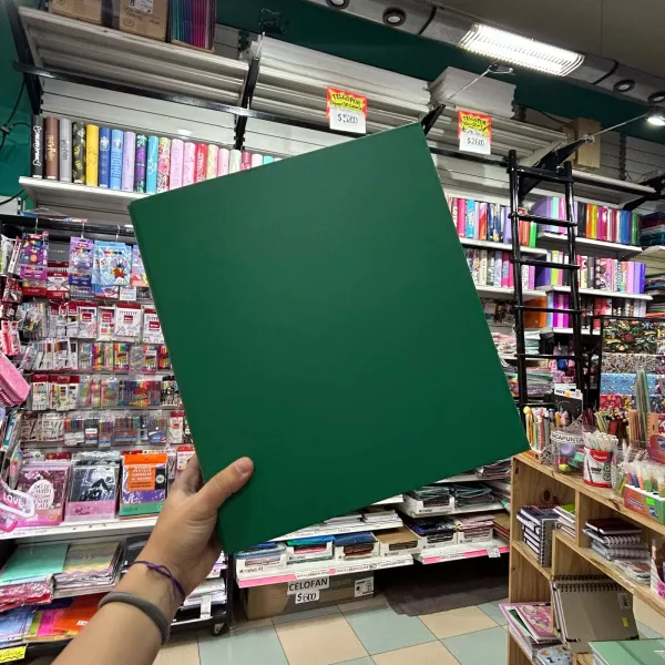 CARPETA THE PEL A4 2 X 40 MM. FORRADA VERDE