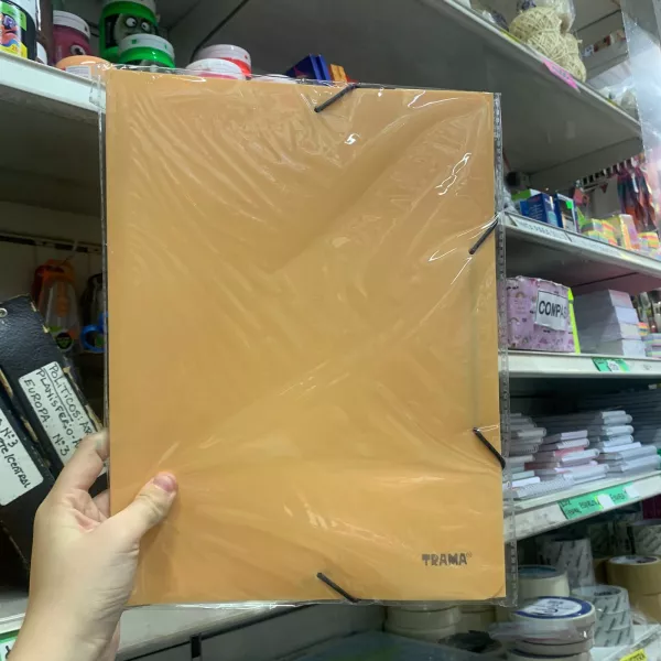 Carpeta 3 solapas con elástico A4 pastel