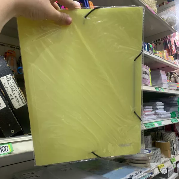 Carpeta 3 solapas con elástico A4 pastel