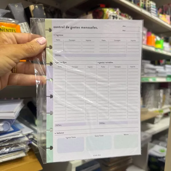 Repuesto organizador de Gastos A5 Cukina