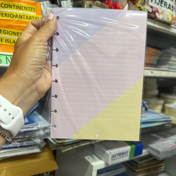 Repuesto hojas de color A5 Cukina