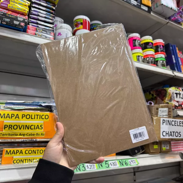 Paquete Papel Misionero A4 210grs x25hjs