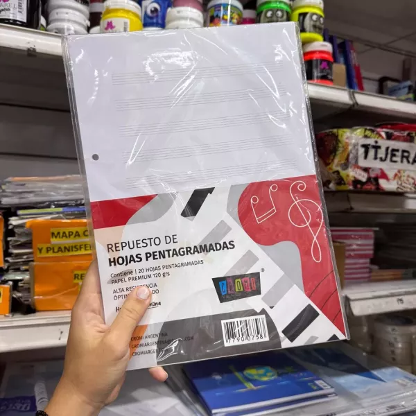 Repuesto Hojas Pentagramadas A4 x20